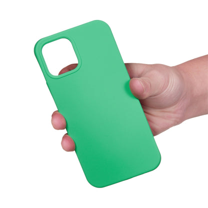 For iPhone 15 Pro Solid Color Silicone Phone Case(Green) - iPhone 15 Pro Cases by PMC Jewellery | Online Shopping South Africa | PMC Jewellery