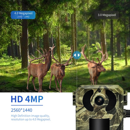 ESCAM QF380 4MP Network Solar PIR Alert Smart Wildlife Hunting Camera, 4G:US Version(Camouflage) - Hunting Cameras by ESCAM | Online Shopping South Africa | PMC Jewellery | Buy Now Pay Later Mobicred