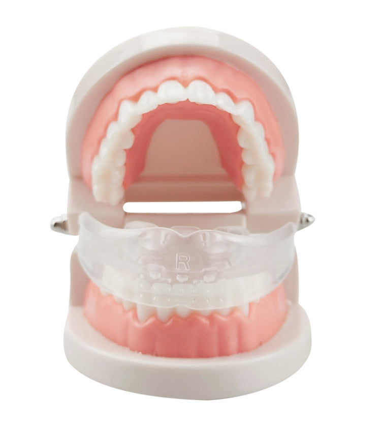 Orthodontic Appliance Silicone Simulation Braces Anti-molar Braces for Night(The third stage) - Dental Tools by PMC TechLife | Online Shopping South Africa | PMC TechLife