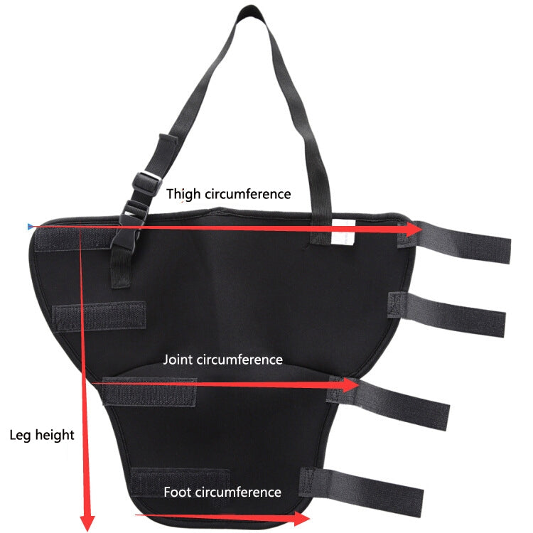 HJ19 Pet Surgery Rehabilitation Back Leg Protector Walking Aids, Size: M(Blue Left Back Leg) - Protector Walking Aids by PMC TechLife | Online Shopping South Africa | PMC TechLife | Buy Now Pay Later Mobicred