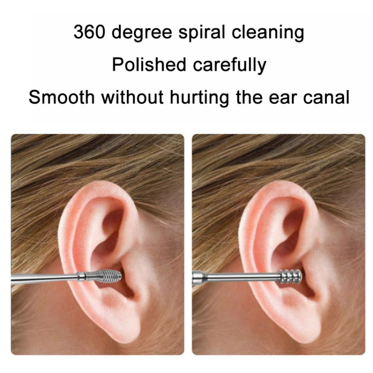 5 Sets 6 In 1 Stainless Steel Spring Spiral Portable Ear Pick, Specification: Black Leather Case - Ear Care Tools by PMC Jewellery | Online Shopping South Africa | PMC Jewellery