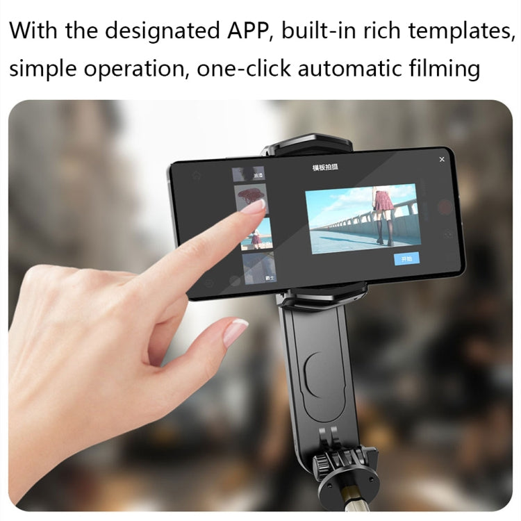 Removable Fill Light Phone Handheld Stabilizer with APP(Q09 Black) - Handheld Gimbals by PMC TechLife | Online Shopping South Africa | PMC TechLife