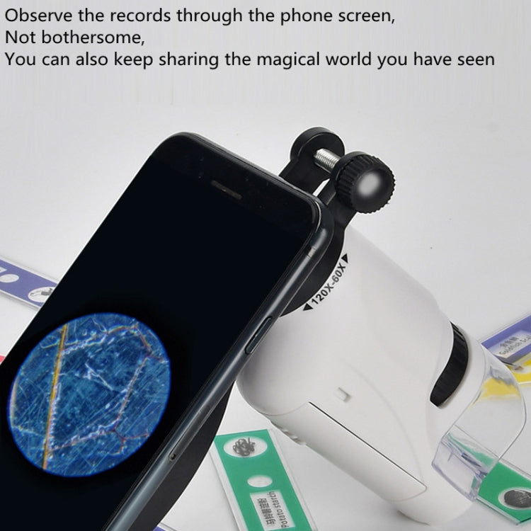 Children Handheld Portable Laboratory Equipment Microscope Toys, Colour: Lite + Specimen (White) - Digital Microscope by PMC TechLife | Online Shopping South Africa | PMC TechLife | Buy Now Pay Later Mobicred