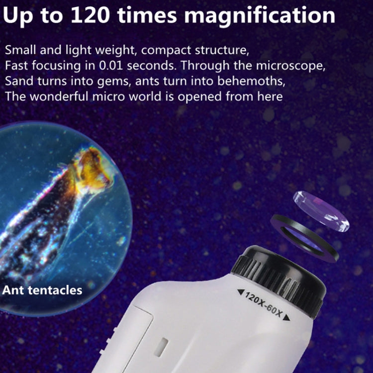 Children Handheld Portable Laboratory Equipment Microscope Toys, Colour: Lite + Specimen (White) - Digital Microscope by PMC TechLife | Online Shopping South Africa | PMC TechLife | Buy Now Pay Later Mobicred